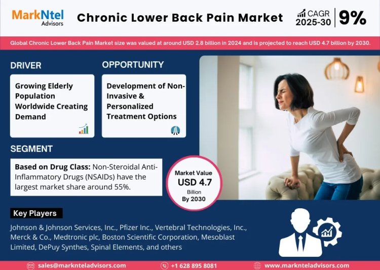 Comprehensive Chronic Lower Back Pain Market Analysis: Size, Share, Trends, and CAGR 9% Forecast for 2025-2030