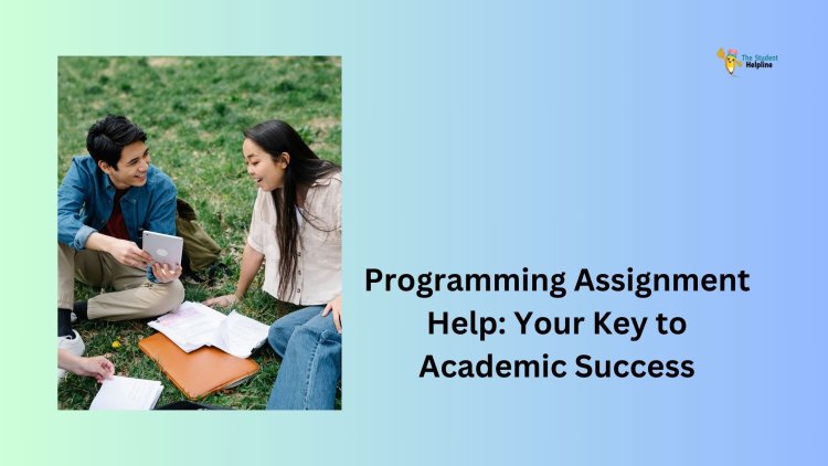 Programming Assignment Help: Your Key to Academic Success