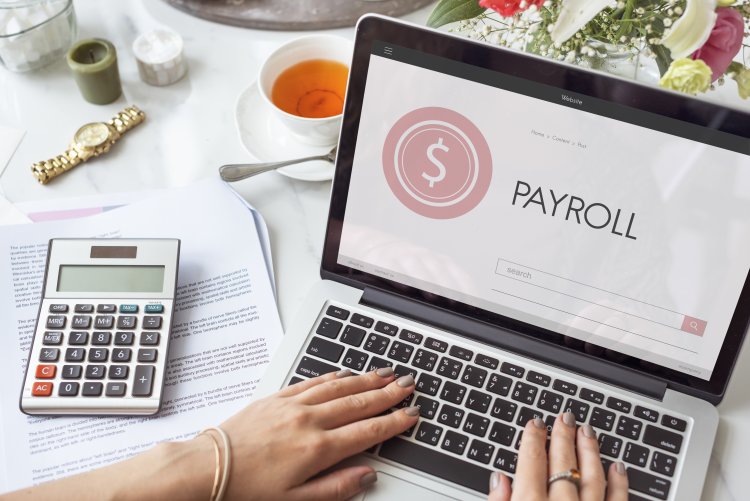 Payroll Software for Multi-Location Businesses: A Guide